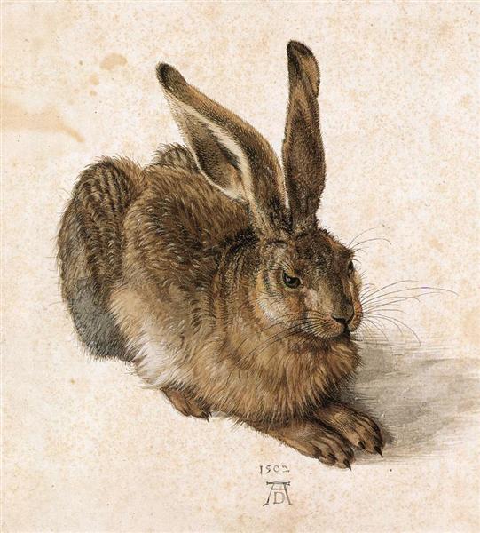 Albrecht Durer, Hare, Rough Sketch blog post 12/30/21 by Ouida Touchon, artist.